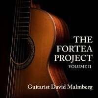The Fortea Project, Vol. II